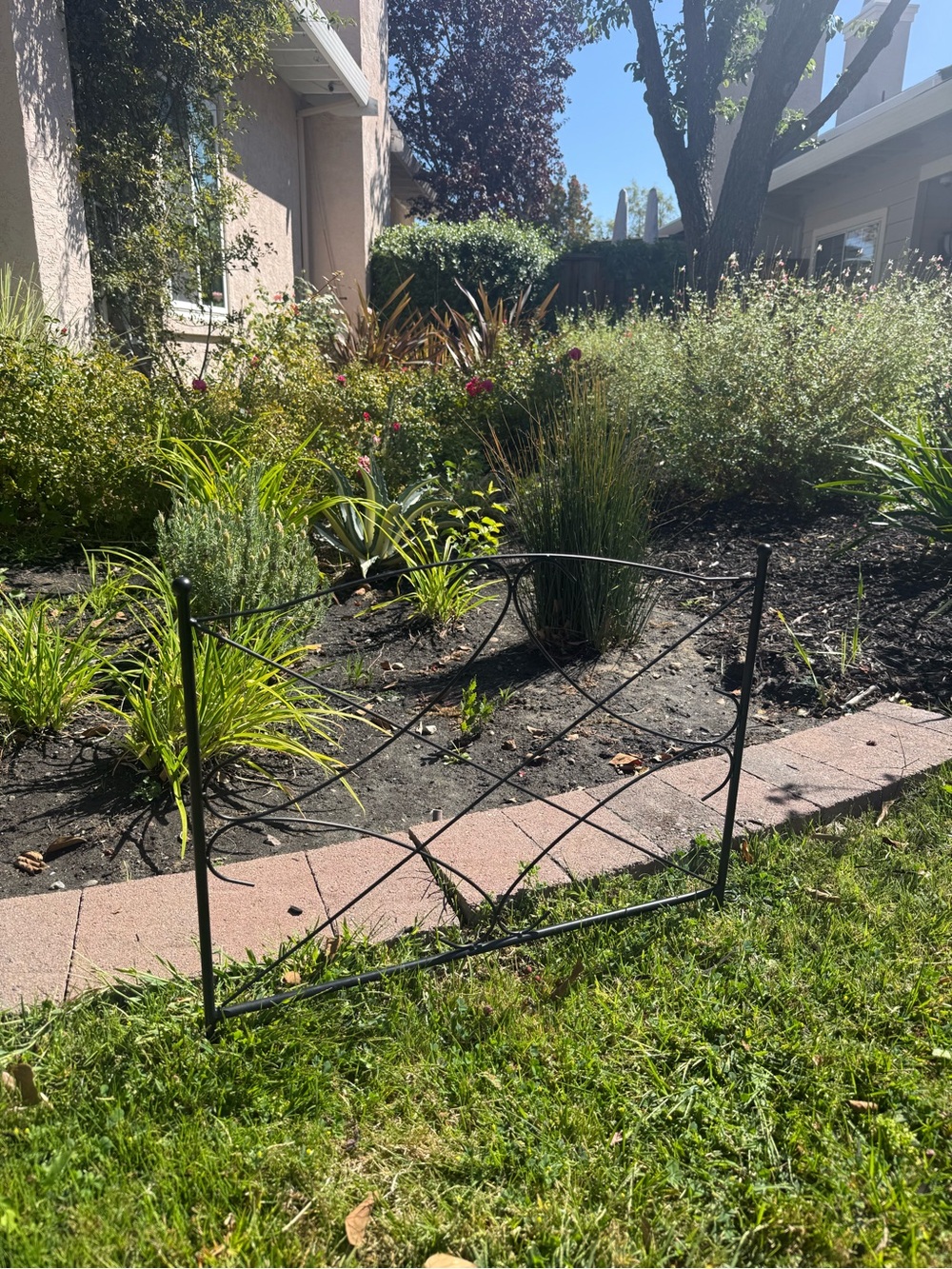 Decorative Black Metal Garden Fence Panel - Home Kitchen